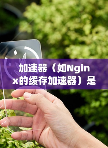 加速器（如Nginx的缓存加速器）是一个非常有用的工具，它可以显著提升你的应用性能。以下是一个关于加速器的使用指南，帮助你更好地使用它