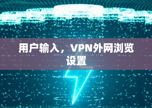用户输入，VPN外网浏览设置