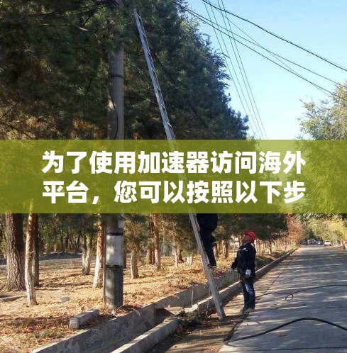 为了使用加速器访问海外平台，您可以按照以下步骤操作