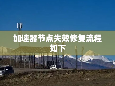 加速器节点失效修复流程如下