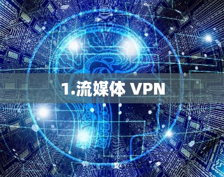 1.流媒体 VPN