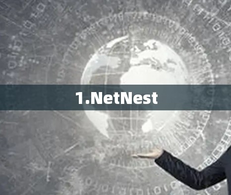 1.NetNest