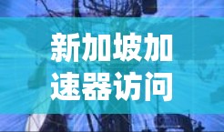 新加坡加速器访问工具系统