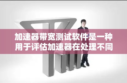 加速器带宽测试软件是一种用于评估加速器在处理不同数据量和速度下的性能评估工具。以下是详细的步骤和信息