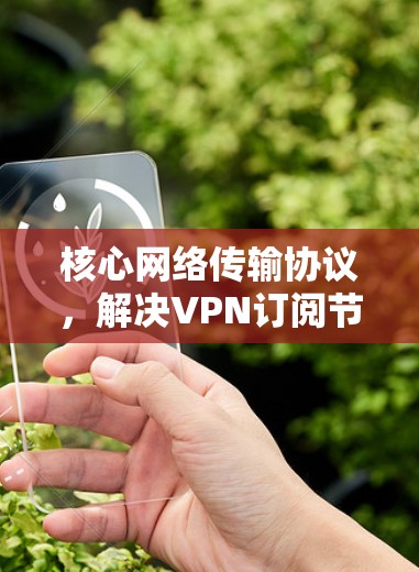 核心网络传输协议，解决VPN订阅节点问题