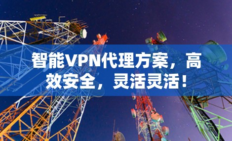 智能VPN代理方案，高效安全，灵活灵活！