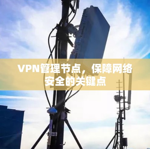 VPN管理节点，保障网络安全的关键点
