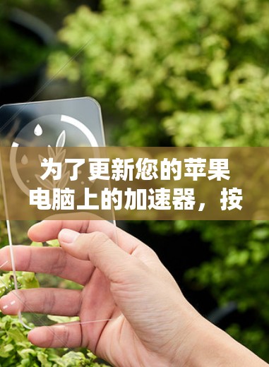 为了更新您的苹果电脑上的加速器，按照以下步骤操作