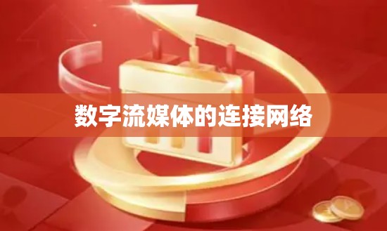 数字流媒体的连接网络