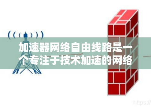 加速器网络自由线路是一个专注于技术加速的网络架构，旨在提升其他技术的应用效率。以下是对该概念的详细总结
