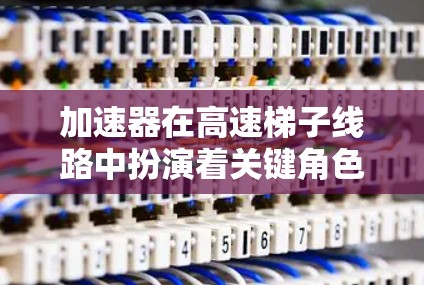 加速器在高速梯子线路中扮演着关键角色，通过多种技术手段提升数据传输速度和可靠性。以下是关于加速器的详细分析