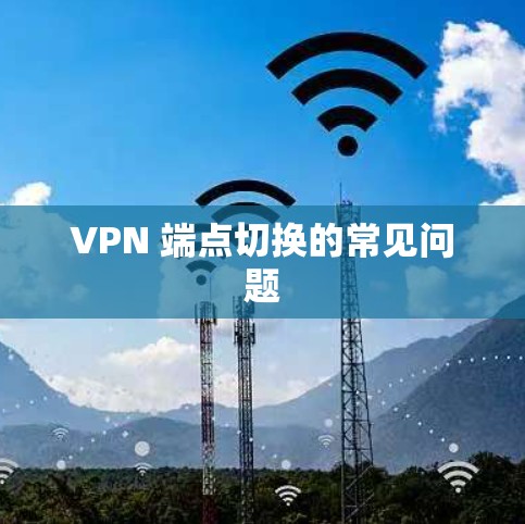 VPN 端点切换的常见问题