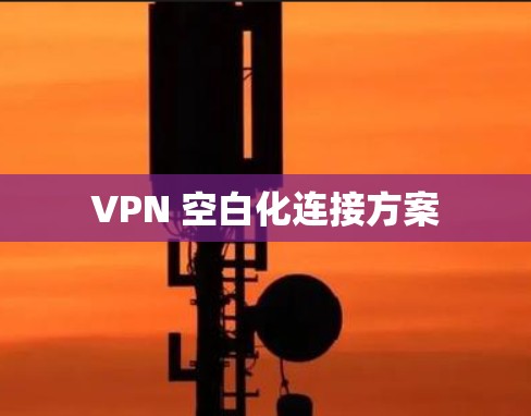 VPN 空白化连接方案