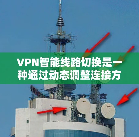 VPN智能线路切换是一种通过动态调整连接方式来优化数据传输和服务器性能的技术。其核心在于利用先进的检测和反馈机制，实时评估服务器和网络状况，从而自动优化连接策略。以下是对该技术的详细分析