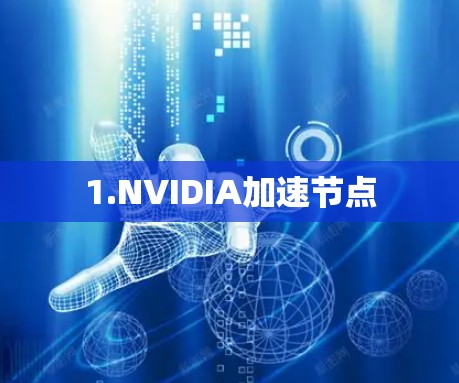 1.NVIDIA加速节点