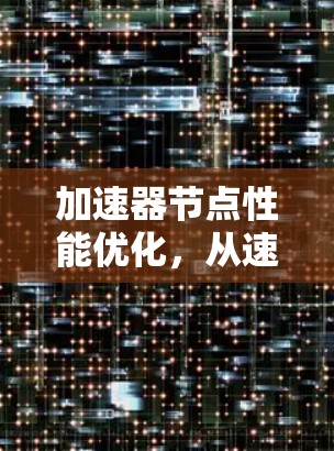 加速器节点性能优化，从速度到效率的升级方案