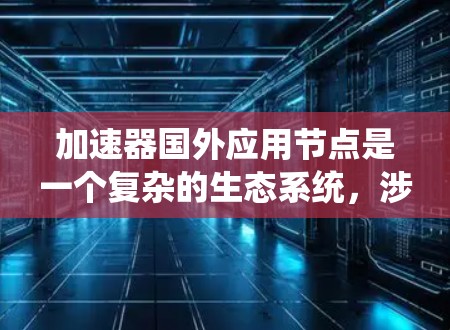 加速器国外应用节点是一个复杂的生态系统，涉及多个环节，包括加速器的发行、销售、推广、运营和维护。以下是逐步的解释