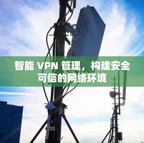 智能 VPN 管理，构建安全可信的网络环境