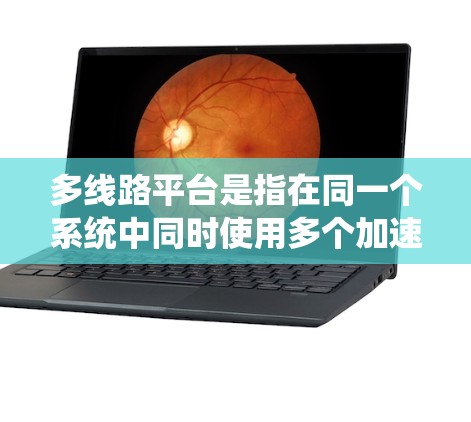 多线路平台是指在同一个系统中同时使用多个加速器，通过网络连接，共同完成数据处理、计算等任务，提高整体效率和性能。以下是对多线路平台的详细分析