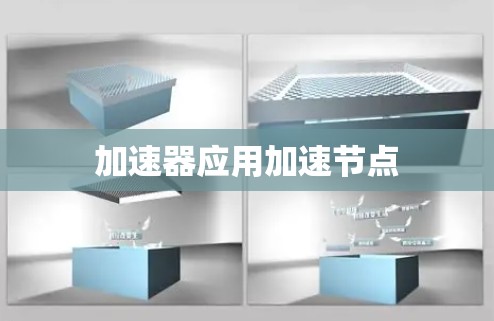 加速器应用加速节点