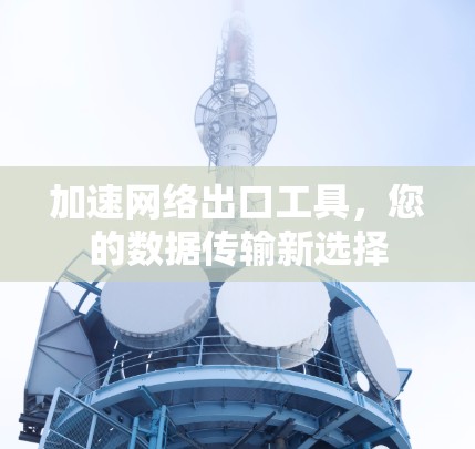 加速网络出口工具，您的数据传输新选择