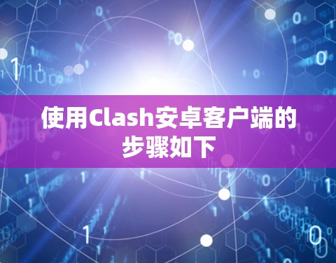 使用Clash安卓客户端的步骤如下