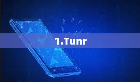 1.Tunr