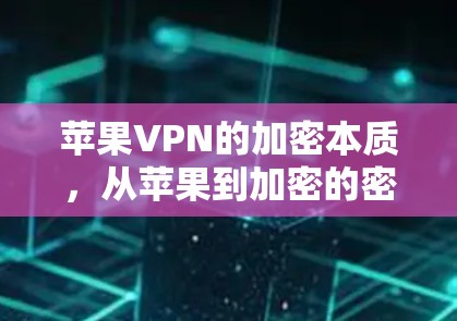 苹果VPN的加密本质，从苹果到加密的密码