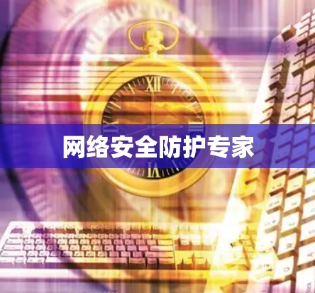 网络安全防护专家