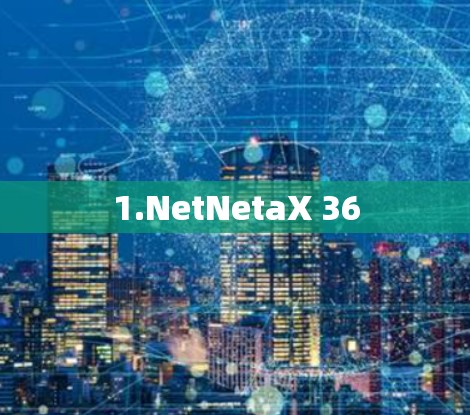 1.NetNetaX 36