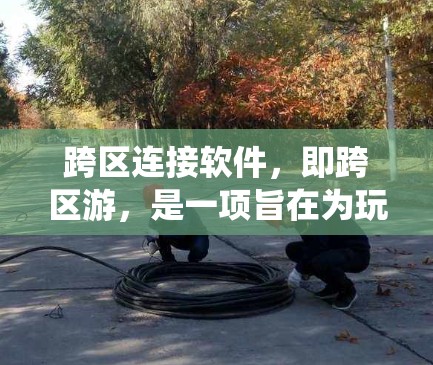 跨区连接软件，即跨区游，是一项旨在为玩家提供跨地区游戏连接的工具。以下是对该主题的系统性总结