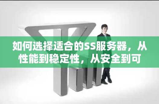 如何选择适合的SS服务器，从性能到稳定性，从安全到可靠
