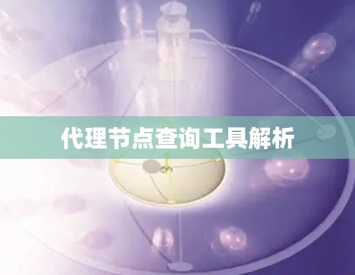 代理节点查询工具解析