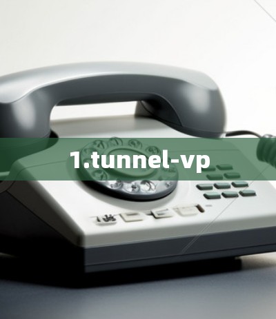 1.tunnel-vp