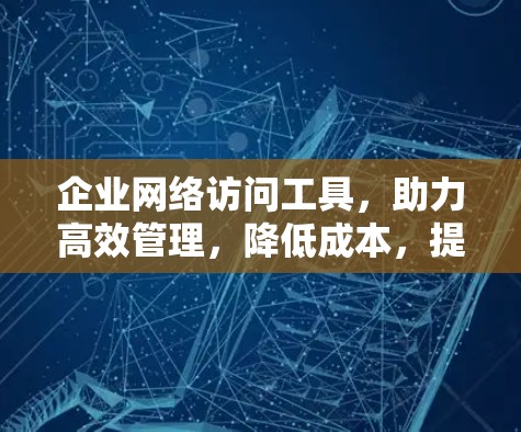 企业网络访问工具，助力高效管理，降低成本，提升安全