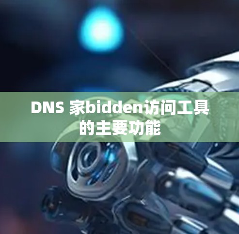 DNS 家bidden访问工具的主要功能