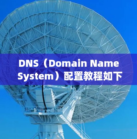 DNS（Domain Name System）配置教程如下