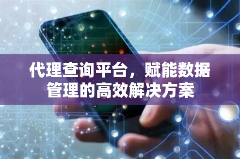 代理查询平台，赋能数据管理的高效解决方案