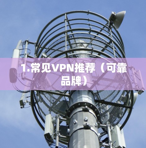 1.常见VPN推荐（可靠品牌）