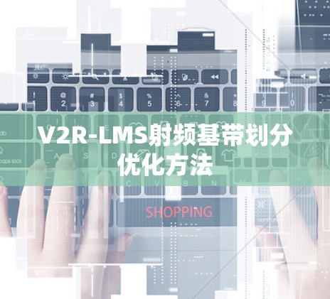 V2R-LMS射频基带划分优化方法