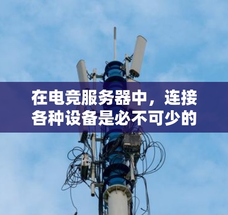 在电竞服务器中，连接各种设备是必不可少的，不同软件各有不同功能和适用场景。以下是关于电竞服务器连接软件的详细信息