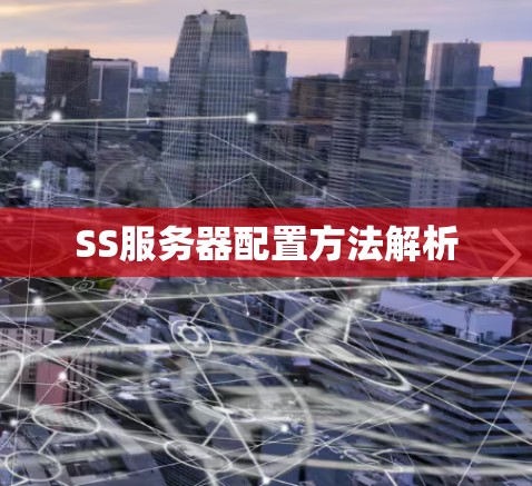 SS服务器配置方法解析