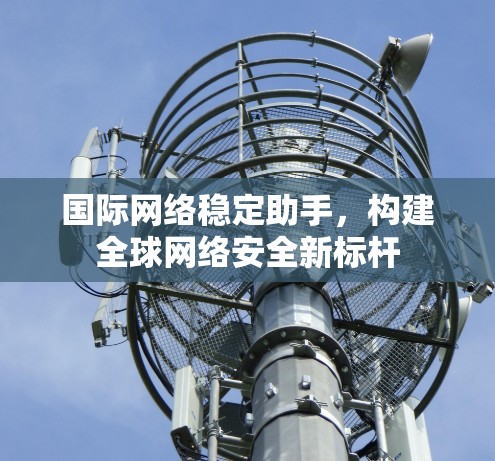 国际网络稳定助手，构建全球网络安全新标杆