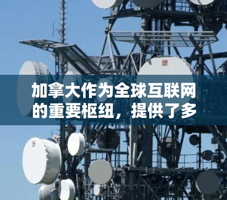 加拿大作为全球互联网的重要枢纽，提供了多种VPN服务，以满足不同用户的需求。以下是一些加拿大节点常用的VPN工具及其特点