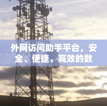 外网访问助手平台，安全、便捷、高效的数字访问管理解决方案