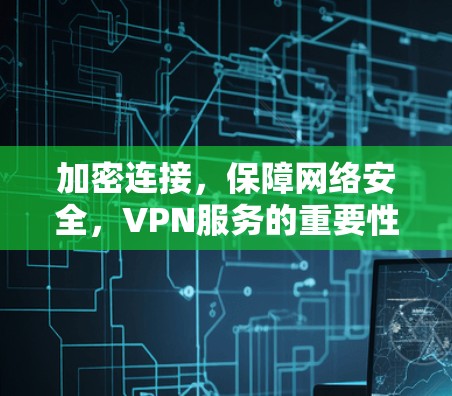 加密连接，保障网络安全，VPN服务的重要性