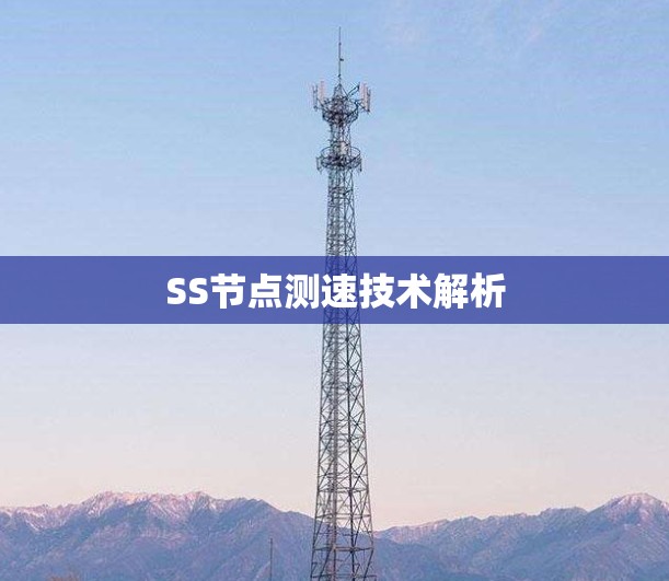 SS节点测速技术解析