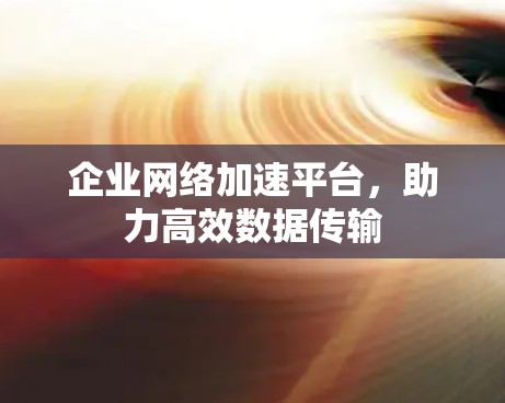 企业网络加速平台，助力高效数据传输