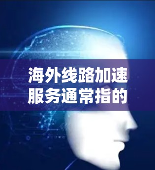 海外线路加速服务通常指的是在海外寻找更便捷、更高效的交通方式，以满足用户的出行需求。以下是一些常见的海外加速服务