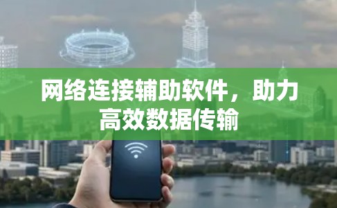 网络连接辅助软件，助力高效数据传输